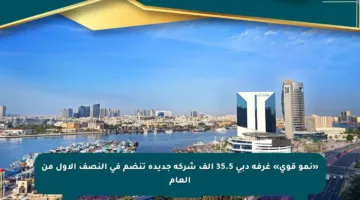 «نمو قوي» غرفة دبي 35.5 ألف شركة جديدة تنضم في النصف الأول من العام